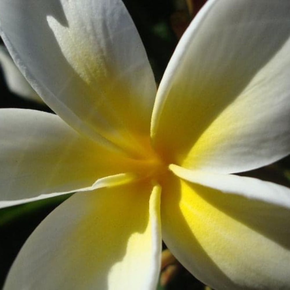 Meet your Posher, Judi